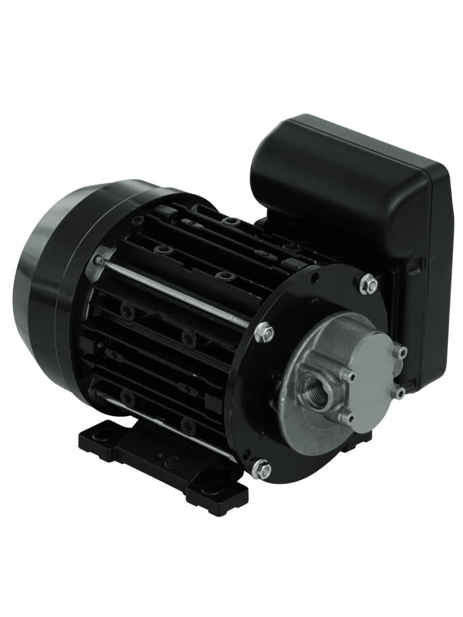 Garda 5 230V - Электрический шестеренчатый насос для масла и ДТ, 10 л/мин (нов. арт. NMT450008)